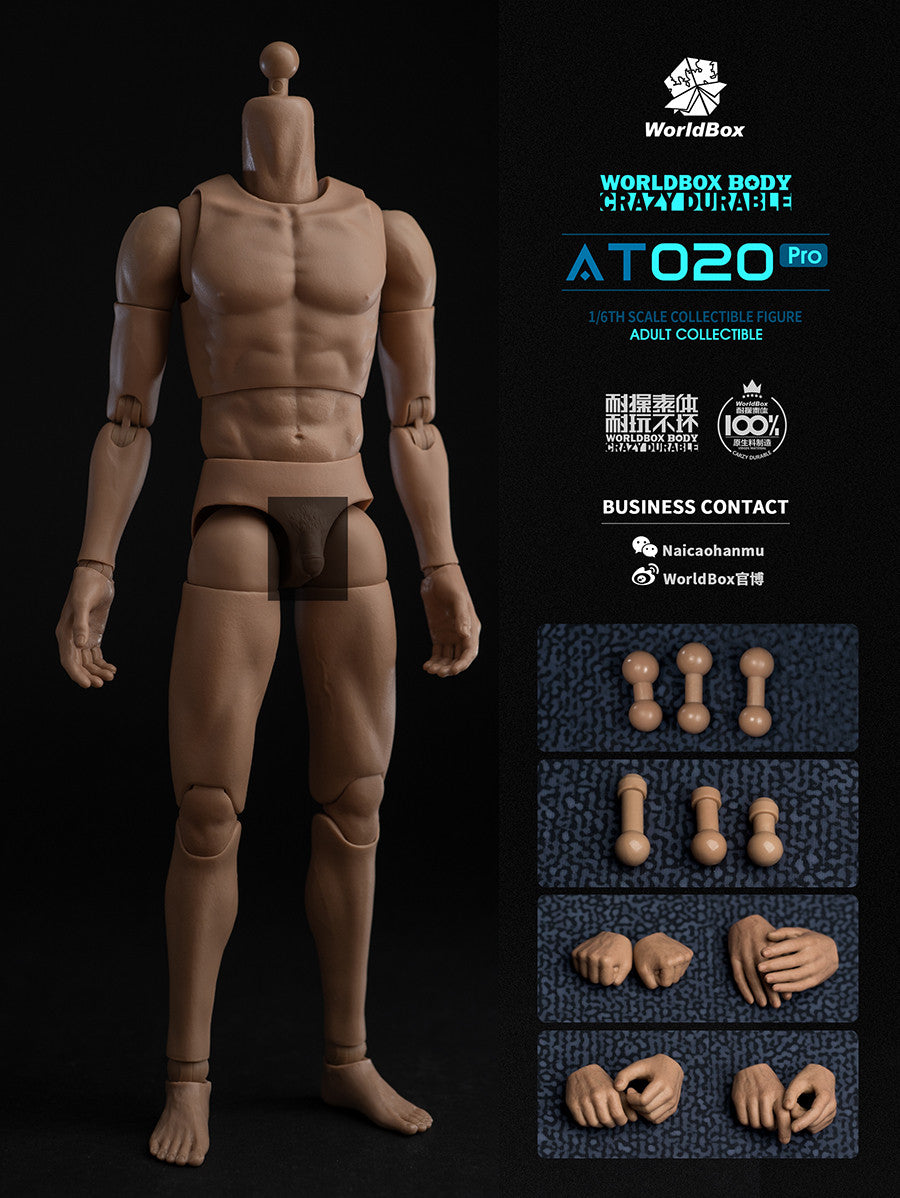 Worldbox AT020 PRO 1/6 Scale Figure Body 可動人偶素體