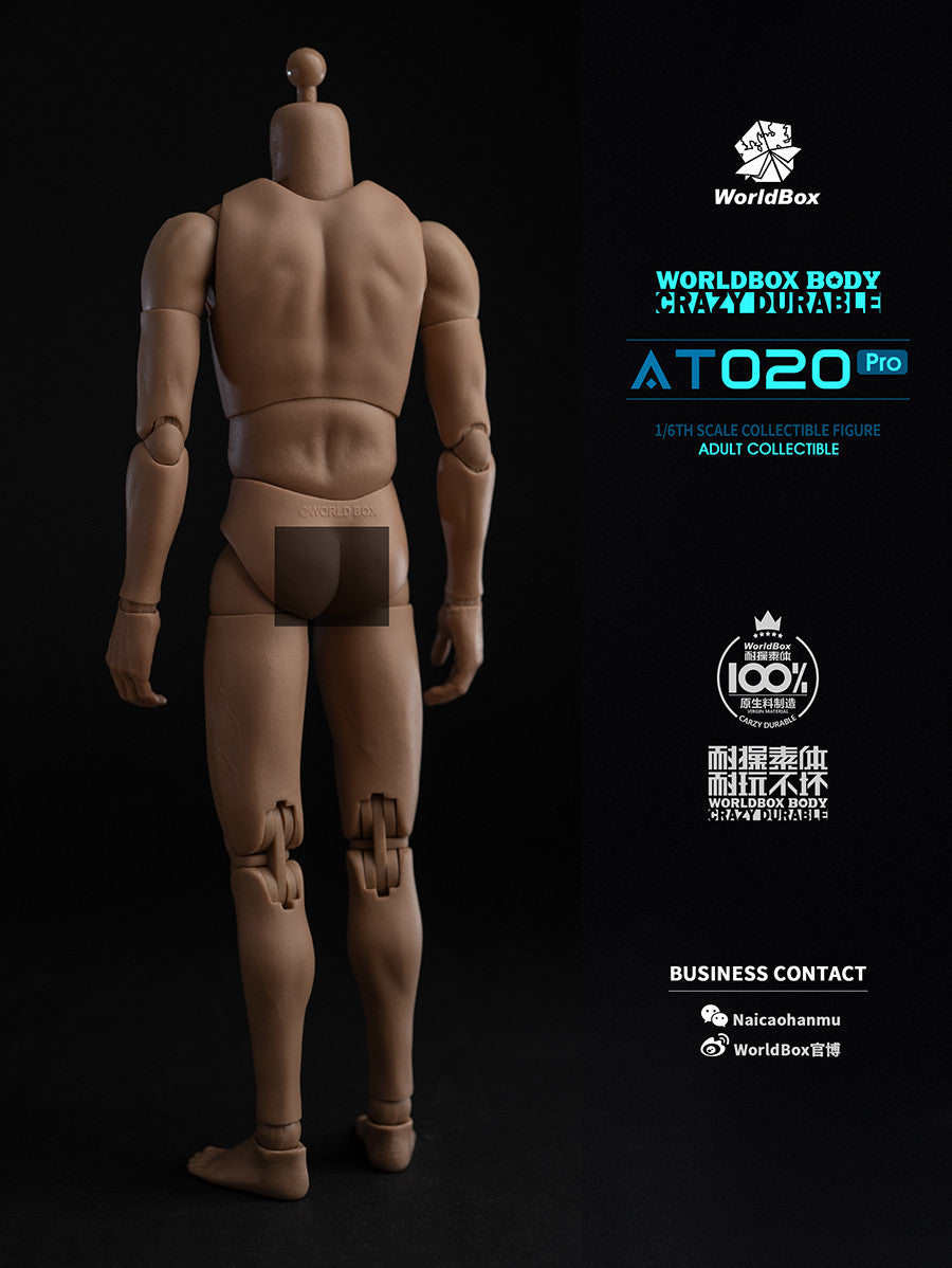 Worldbox AT020 PRO 1/6 Scale Figure Body 可動人偶素體