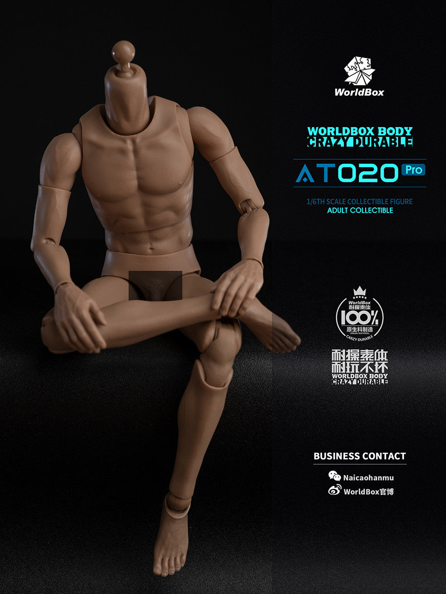 Worldbox AT020 PRO 1/6 Scale Figure Body 可動人偶素體
