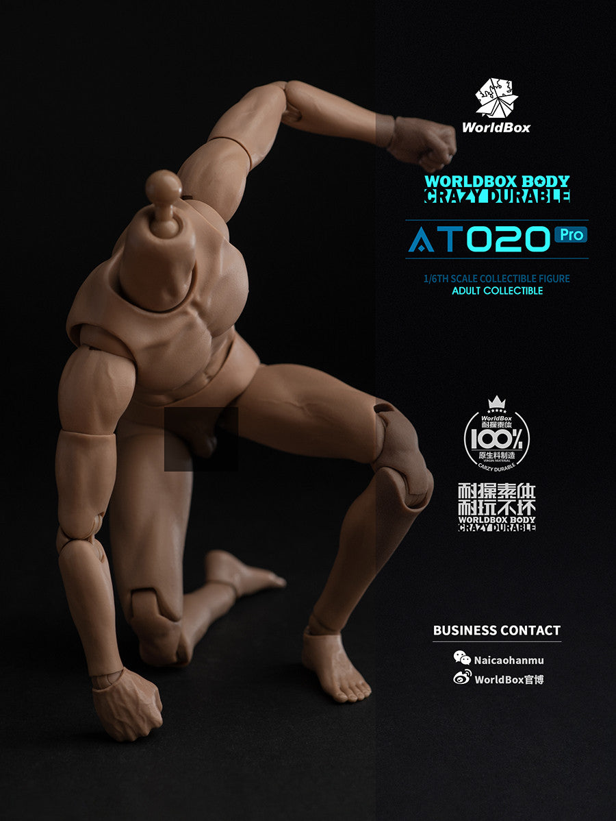 Worldbox AT020 PRO 1/6 Scale Figure Body 可動人偶素體