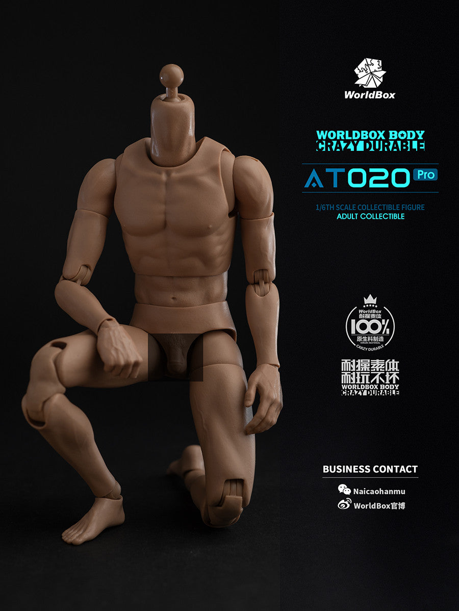 Worldbox AT020 PRO 1/6 Scale Figure Body 可動人偶素體