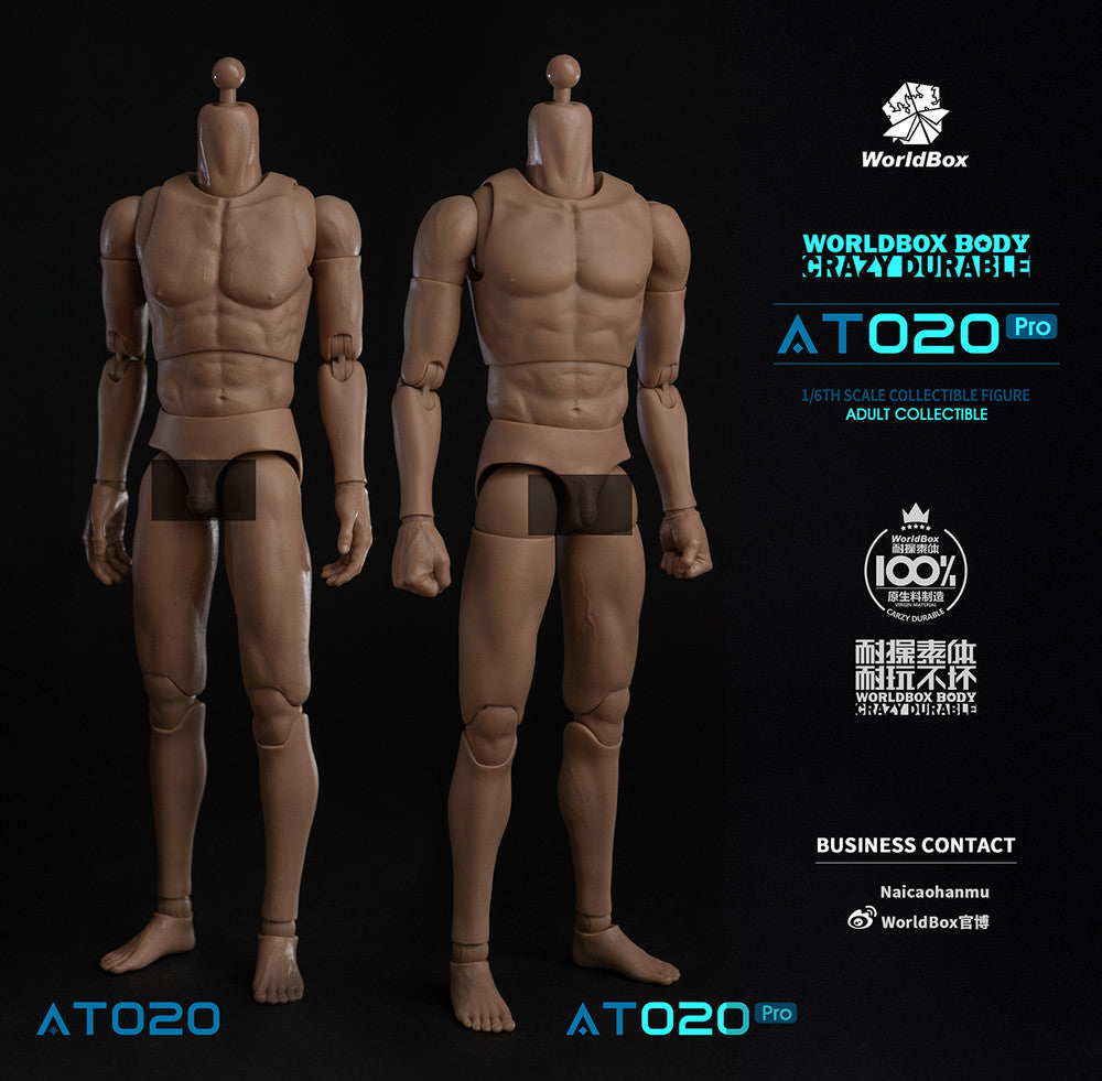 Worldbox AT020 PRO 1/6 Scale Figure Body 可動人偶素體