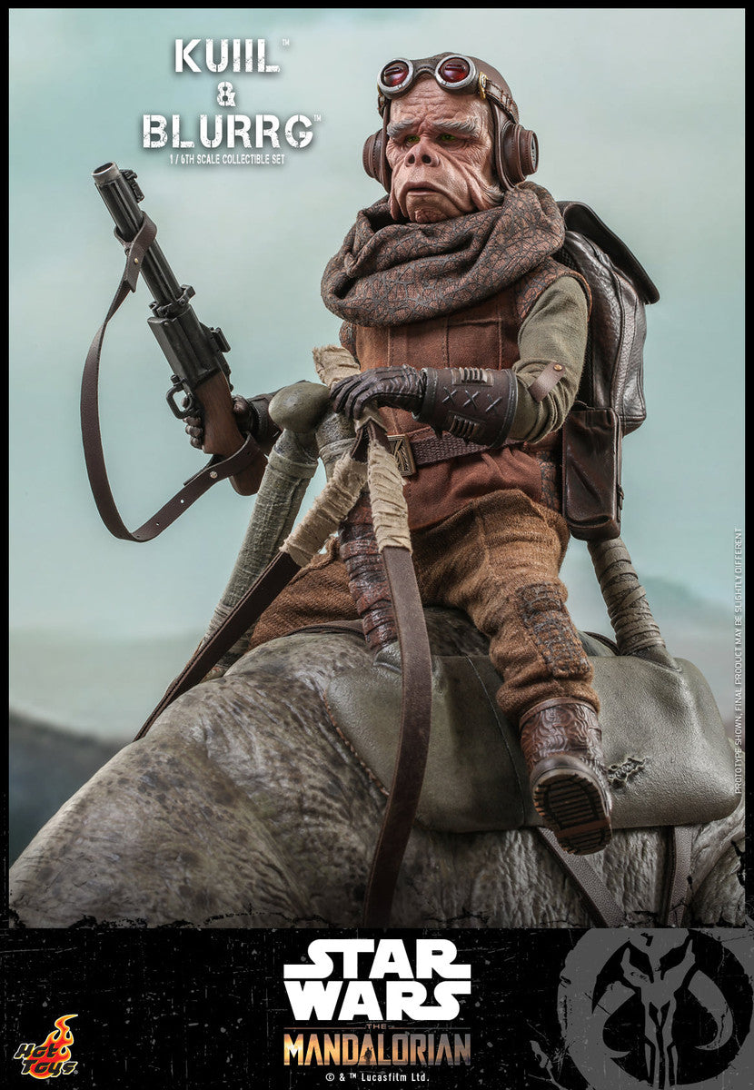 Hot Toys TMS049 Star Wars The Mandalorian™ 1/6th scale Kuiil™ & Blurrg™ Collectible Set