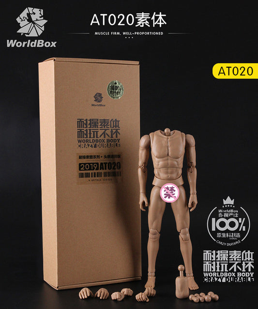 Worldbox AT020 1/6 Scale Figure Body 人偶素體